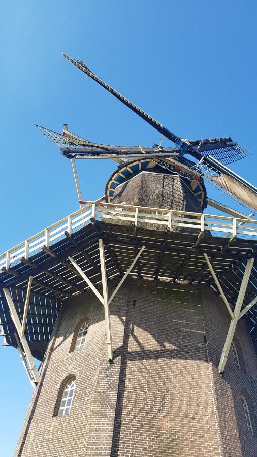Marry'S Boshuisje Dalfsen Exterior foto